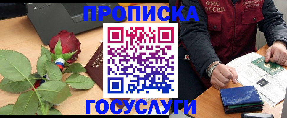 временная регистрация 2025 в Елизово